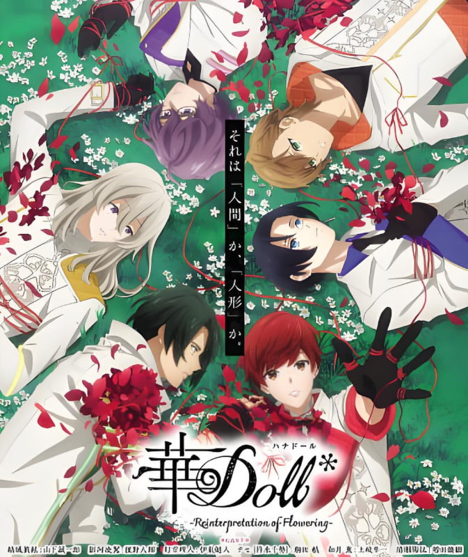 华Doll