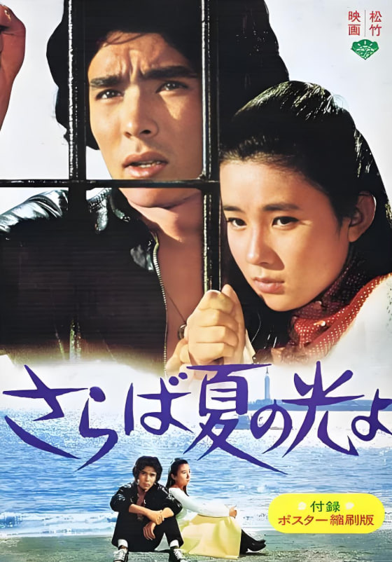 再见，夏日之光