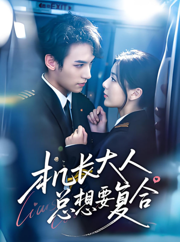 机长大人总想要复合(全集)