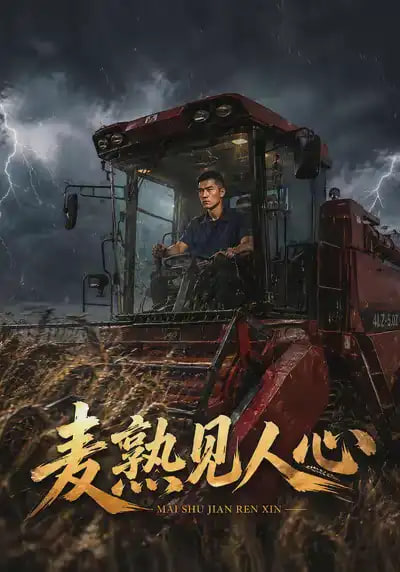麦熟见人心(全集)
