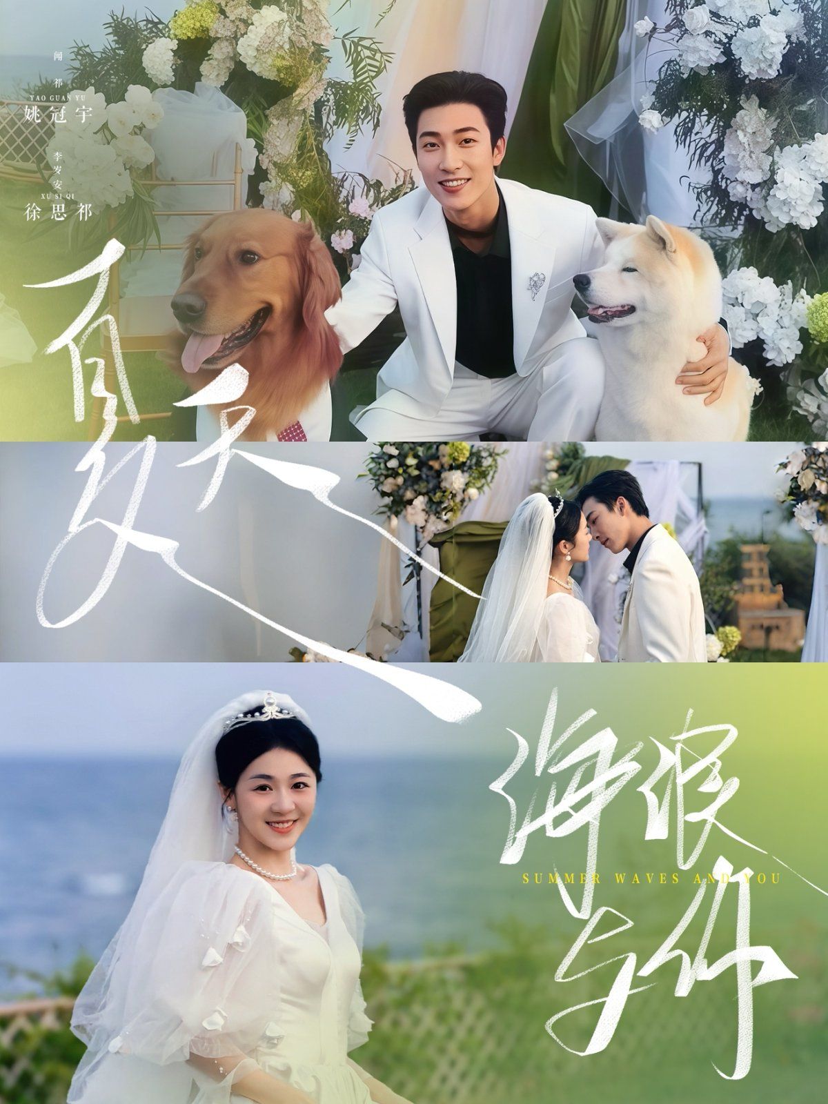 夏天海浪与你(全集)