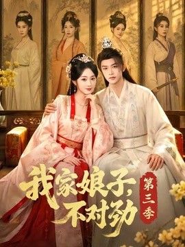 我家娘子，不对劲第三季(全集)