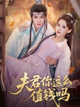 夫君你这么值钱吗(全集)