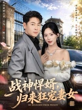战神悍婿，归来狂宠妻女(全集)