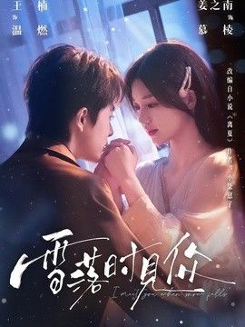 雪落时见你(全集)
