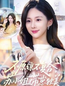 不原谅不复合，苏小姐带崽独美(全集)