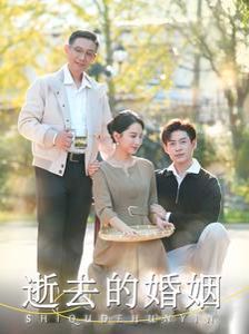 逝去的婚姻(全集)