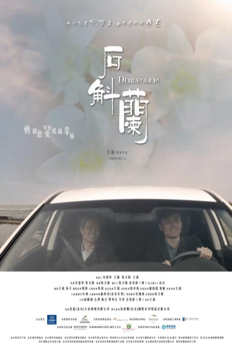 石斛兰(全集)